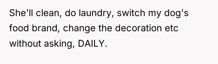 She'll clean, do laundry, switch my dog's food brand, change...