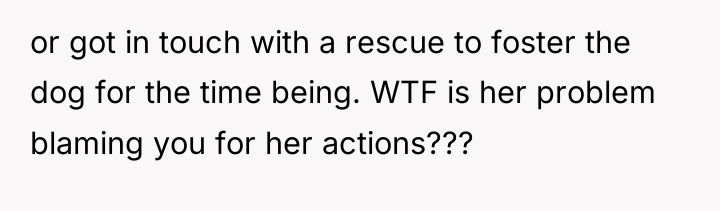 or got in touch with a rescue to foster the...