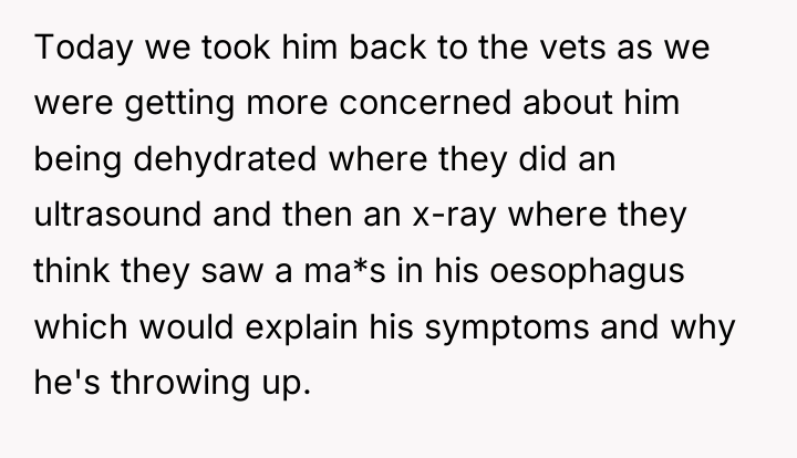 Today we took him back to the vets as we...