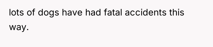 lots of dogs have had fatal accidents this way.