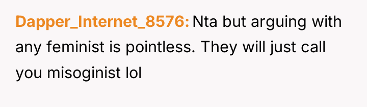 Dapper_Internet_8576 Nta but arguing with any feminist is pointless. They...