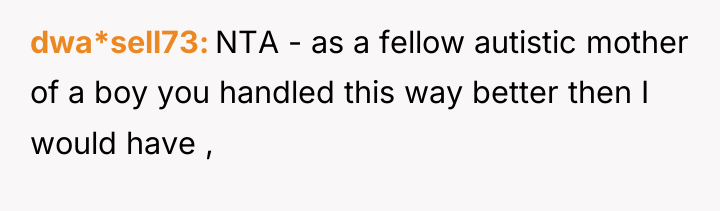 dwa*sell73 NTA - as a fellow autistic mother of a...
