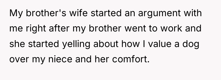 My brother's wife started an argument with me right after...