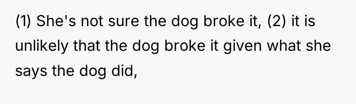 (1) She's not sure the dog broke it, (2) it...