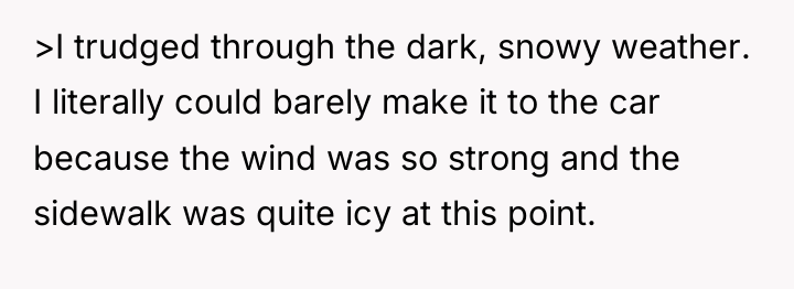 >I trudged through the dark, snowy weather. I literally could...