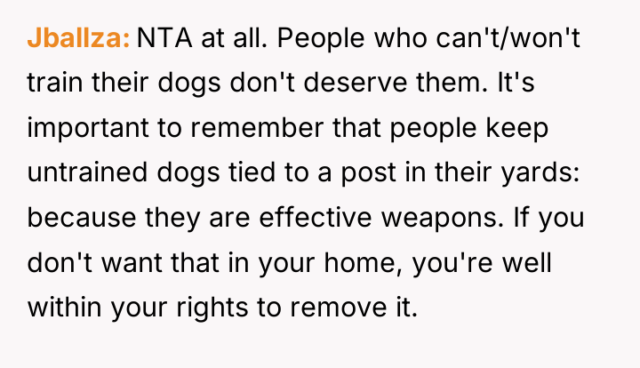 Jballza NTA at all. People who can't/won't train their dogs...