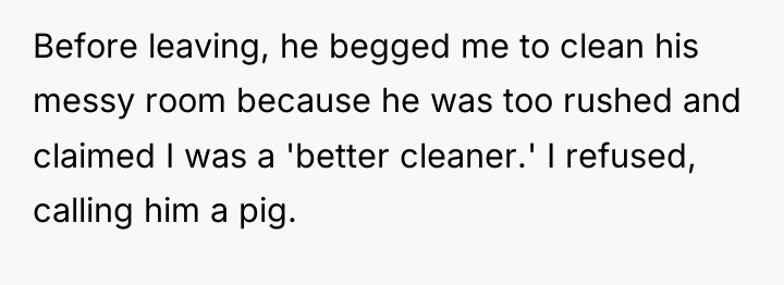 Before leaving, he begged me to clean his messy room...