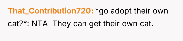 That_Contribution720 *go adopt their own cat?*: NTA They can...