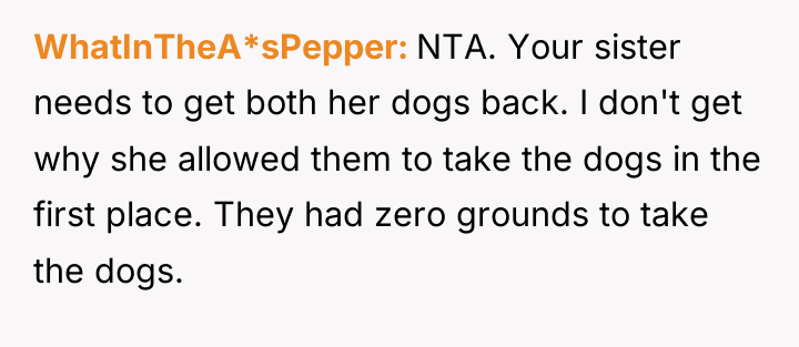 WhatInTheA*sPepper NTA. Your sister needs to get both her dogs...