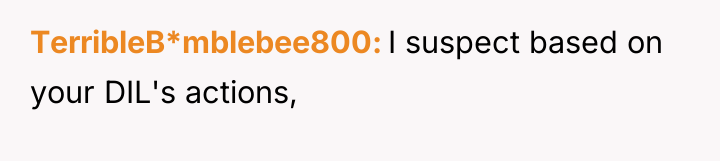 TerribleB*mblebee800 I suspect based on your DIL's actions,