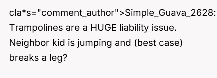 cla*s="comment_author">Simple_Guava_2628: Trampolines are a HUGE liability issue. Neighbor kid is...