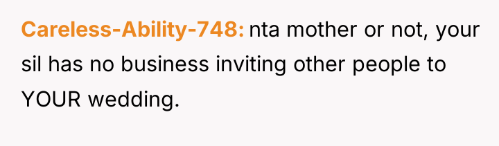 Careless-Ability-748 nta mother or not, your sil has no business...