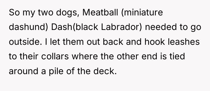 So my two dogs, Meatball (miniature dashund) Dash(black Labrador) needed...