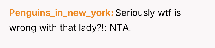 Penguins_in_new_york Seriously wtf is wrong with that lady?!: NTA.