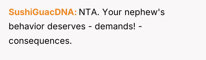 SushiGuacDNA NTA. Your nephew's behavior deserves - demands! - consequences.