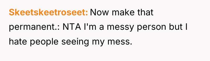 Skeetskeetroseet Now make that permanent.: NTA I'm a messy person...
