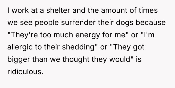 I work at a shelter and the amount of times...