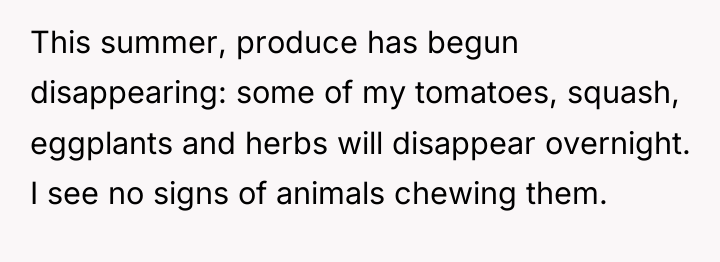 This summer, produce has begun disappearing: some of my tomatoes,...