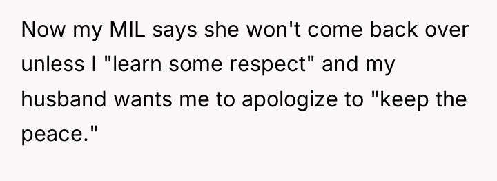 Now my MIL says she won't come back over unless...
