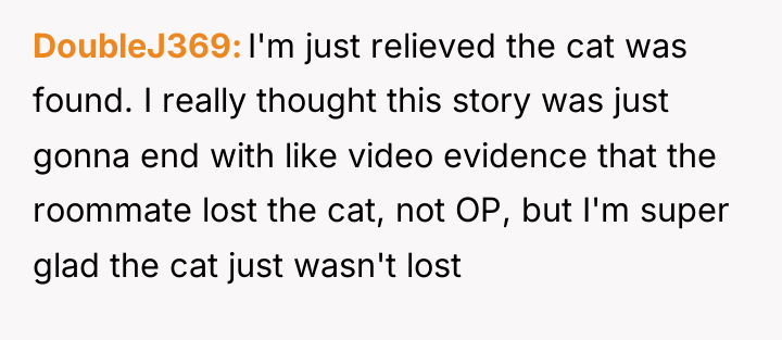 DoubleJ369 I'm just relieved the cat was found. I really...