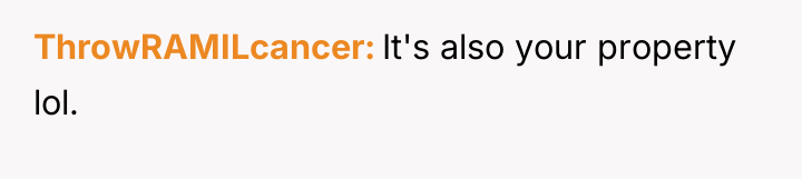 ThrowRAMILcancer It's also your property lol.
