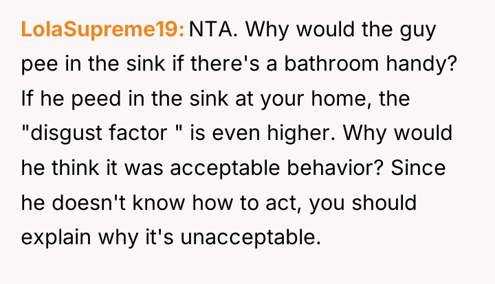 LolaSupreme19 NTA. Why would the guy pee in the sink...