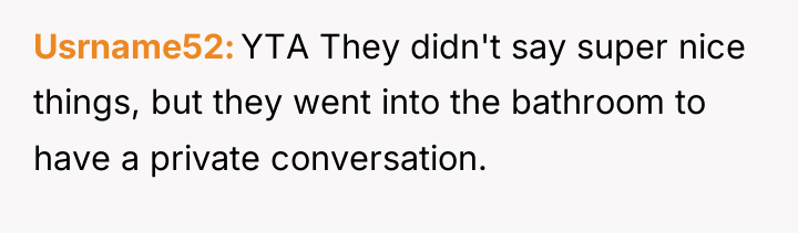 Usrname52 YTA They didn't say super nice things, but they...