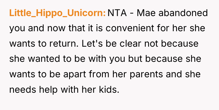 Little_Hippo_Unicorn NTA - Mae abandoned you and now that it...