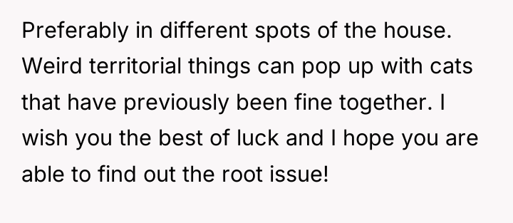 Preferably in different spots of the house. Weird territorial things...