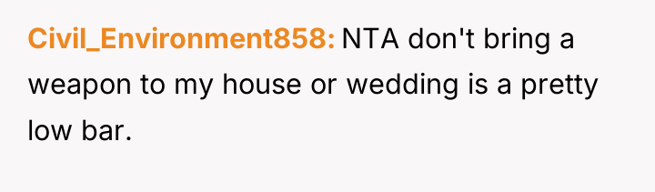 Civil_Environment858 NTA don't bring a weapon to my house or...