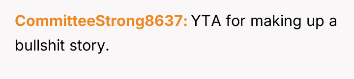 CommitteeStrong8637 YTA for making up a bullshit story.