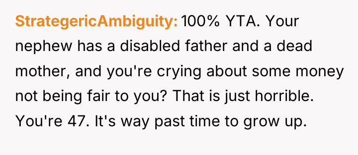 StrategericAmbiguity 100% YTA. Your nephew has a disabled father and...