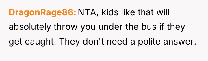 DragonRage86 NTA, kids like that will absolutely throw you under...