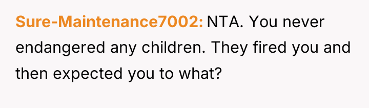 Sure-Maintenance7002 NTA. You never endangered any children. They fired you...