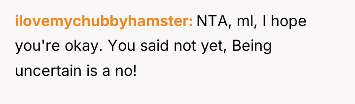 ilovemychubbyhamster NTA, ml, I hope you're okay. You said not...