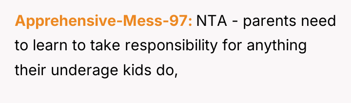 Apprehensive-Mess-97 NTA - parents need to learn to take responsibility...