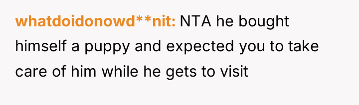whatdoidonowd**nit NTA he bought himself a puppy and expected you...