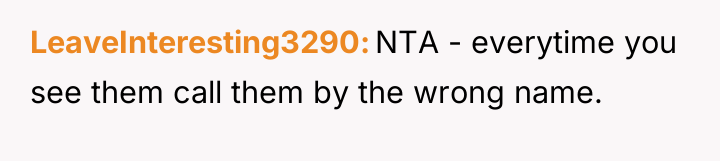 LeaveInteresting3290 NTA - everytime you see them call them by...