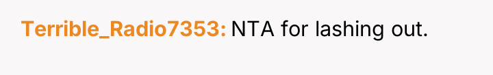 Terrible_Radio7353 NTA for lashing out.