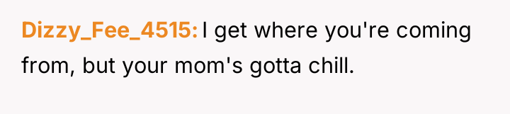 Dizzy_Fee_4515 I get where you're coming from, but your mom's...