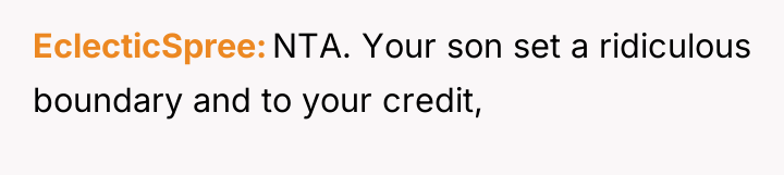 EclecticSpree NTA. Your son set a ridiculous boundary and to...