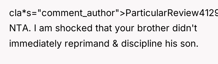 cla*s="comment_author">ParticularReview4129: NTA. I am shocked that your brother didn't immediately...