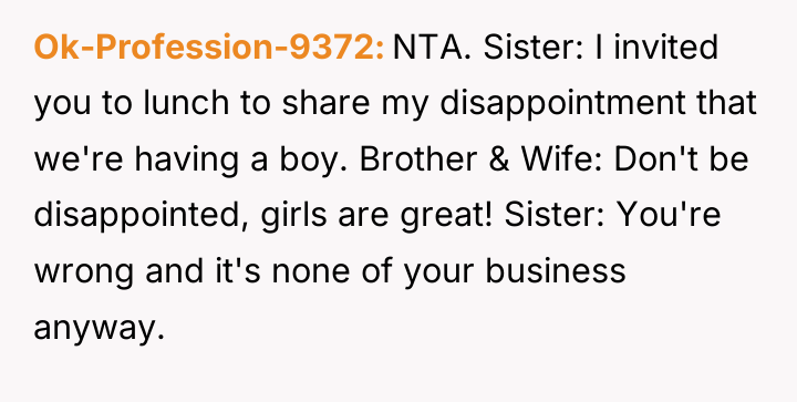 Ok-Profession-9372 NTA. Sister: I invited you to lunch to share...