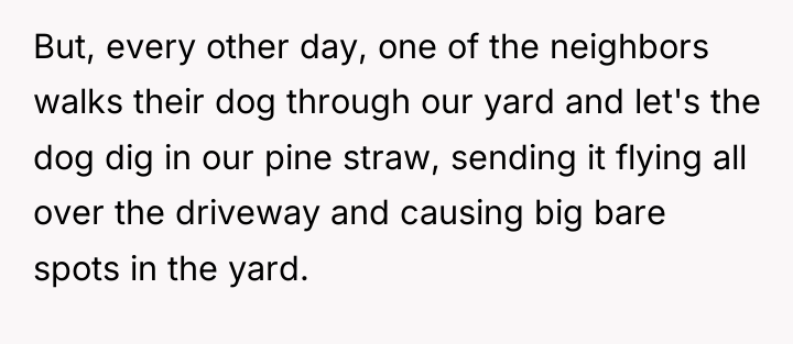 But, every other day, one of the neighbors walks their...