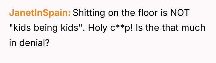 JanetInSpain Shitting on the floor is NOT "kids being kids"....