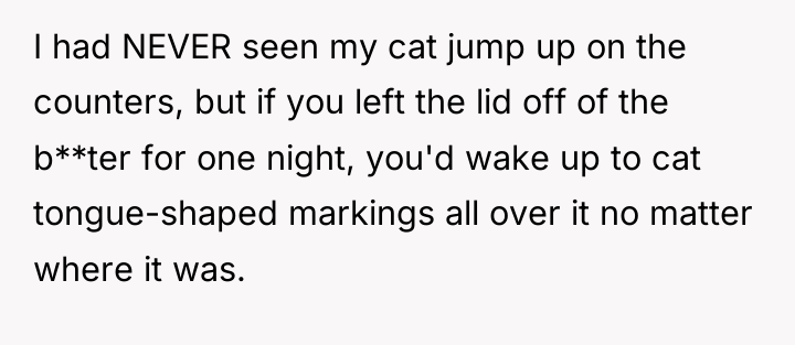 I had NEVER seen my cat jump up on the...