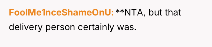 FoolMe1nceShameOnU **NTA, but that delivery person certainly was.