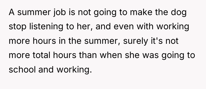 A summer job is not going to make the dog...