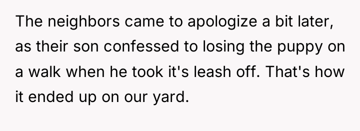 The neighbors came to apologize a bit later, as their...