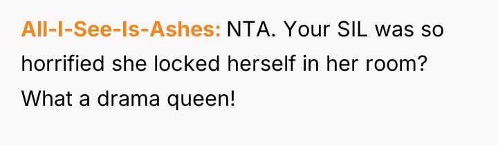 All-I-See-Is-Ashes NTA. Your SIL was so horrified she locked herself...